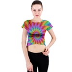 Psychedelic Rainbow Spiral Crew Neck Crop Top