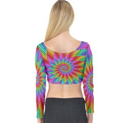 Long Sleeve Crop Top 