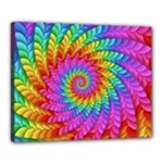 Psychedelic Rainbow Spiral Canvas 20  x 16  (Stretched)