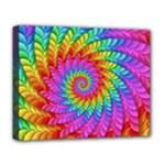 Psychedelic Rainbow Spiral Deluxe Canvas 20  x 16  (Stretched)