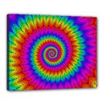 Psychedelic Rainbow Spiral Canvas 20  x 16  (Stretched)