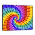 Psychedelic Rainbow Spiral Canvas 20  x 16  (Stretched)