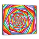 Psychedelic Rainbow Spiral Canvas 24  x 20  (Stretched)