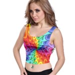 Psychedelic Rainbow Spiral Crop Top