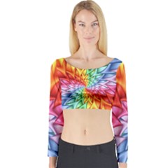 Long Sleeve Crop Top 