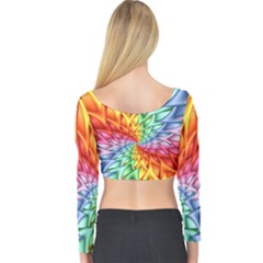 Long Sleeve Crop Top 