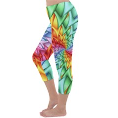 Capri Winter Leggings  Back