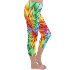 Capri Winter Leggings  