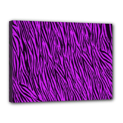 Purple Zebra Stripes Canvas 16  x 12  (Stretched) from ArtsNow.com