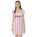 Vertical Stripes - White and Pink Short Sleeve Skater Dress