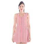 Vertical Stripes - White and Pastel Red Scoop Neck Skater Dress