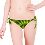 Glossy Lime Green Spiral Fractal  Bikini Bottom