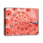 Apircot Orange Vintage Retro Rotary Dial Spiral Droste  Deluxe Canvas 14  x 11  (Stretched)