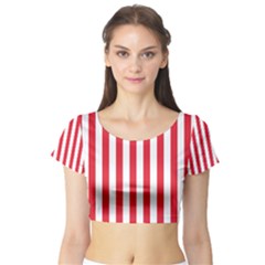 Short Sleeve Crop Top 