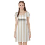 Vertical Stripes - White and Pearl Brown Short Sleeve Skater Dress