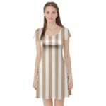 Vertical Stripes - White and Tan Brown Short Sleeve Skater Dress