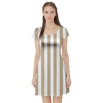 Vertical Stripes - White and Khaki Brown Short Sleeve Skater Dress