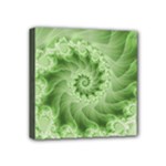 Fractal Lace Green Spiral Fractal Mini Canvas 4  x 4  (Stretched)