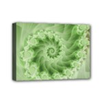 Fractal Lace Green Spiral Fractal Mini Canvas 7  x 5  (Stretched)