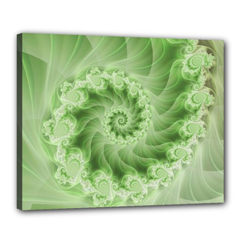 Fractal Lace Green Spiral Fractal Canvas 20  x 16  (Stretched) from ArtsNow.com