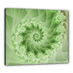 Fractal Lace Green Spiral Fractal Canvas 24  x 20  (Stretched)