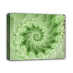 Fractal Lace Green Spiral Fractal Deluxe Canvas 14  x 11  (Stretched)