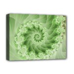 Fractal Lace Green Spiral Fractal Deluxe Canvas 16  x 12  (Stretched) 