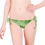 Fractal Lace Green Spiral Fractal Bikini Bottom