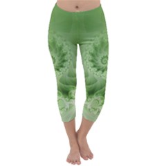 Capri Winter Leggings  Front