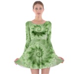 Fractal Lace Green Spiral Fractal Long Sleeve Skater Dress