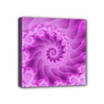 Silky Pink Spiral Fractal  Mini Canvas 4  x 4  (Stretched)