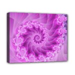 Silky Pink Spiral Fractal  Canvas 10  x 8  (Stretched)