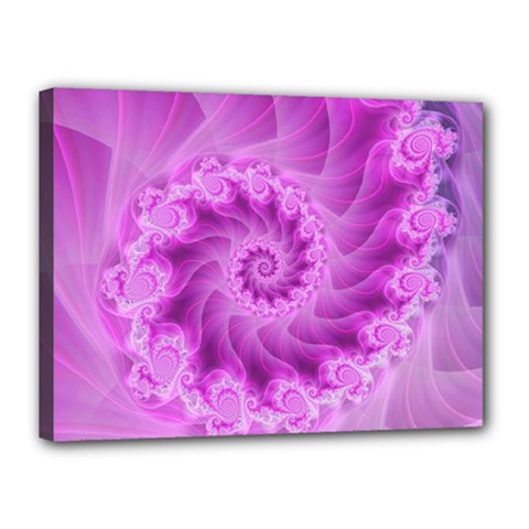 Silky Pink Spiral Fractal  Canvas 16  x 12  (Stretched) from ArtsNow.com