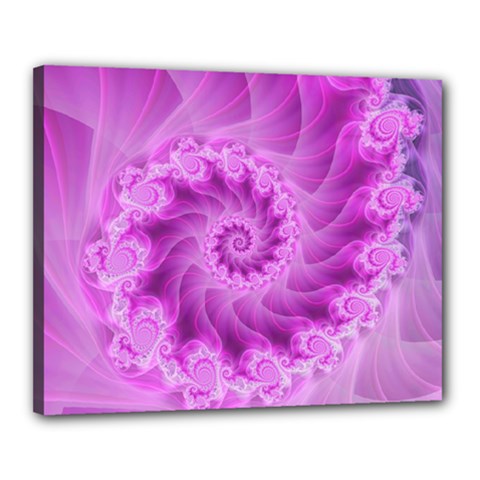 Silky Pink Spiral Fractal  Canvas 20  x 16  (Stretched) from ArtsNow.com