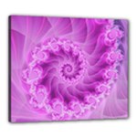 Silky Pink Spiral Fractal  Canvas 24  x 20  (Stretched)