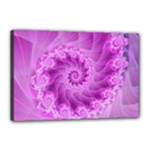 Silky Pink Spiral Fractal  Canvas 18  x 12  (Stretched)