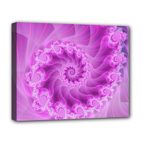 Silky Pink Spiral Fractal  Deluxe Canvas 20  x 16  (Stretched) from ArtsNow.com