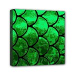 Fish Scales Mini Canvas 6  x 6  (Stretched)