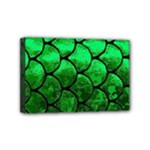 Fish Scales Mini Canvas 6  x 4  (Stretched)