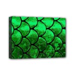 Fish Scales Mini Canvas 7  x 5  (Stretched)