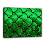 Fish Scales Canvas 16  x 12  (Stretched)