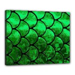 Fish Scales Canvas 20  x 16  (Stretched)