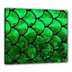 Fish Scales Canvas 24  x 20  (Stretched)