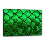 Fish Scales Canvas 18  x 12  (Stretched)