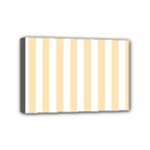 Vertical Stripes - White and Peach Orange Mini Canvas 6  x 4  (Stretched)