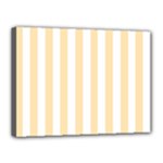 Vertical Stripes - White and Peach Orange Canvas 16  x 12  (Stretched)