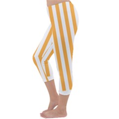 Capri Winter Leggings  Back