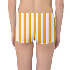 Boyleg Bikini Bottoms Back