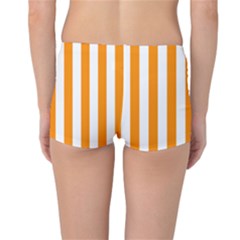 Reversible Boyleg Bikini Bottoms Outside Back