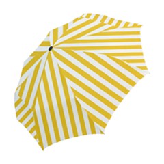 Folding Umbrella 